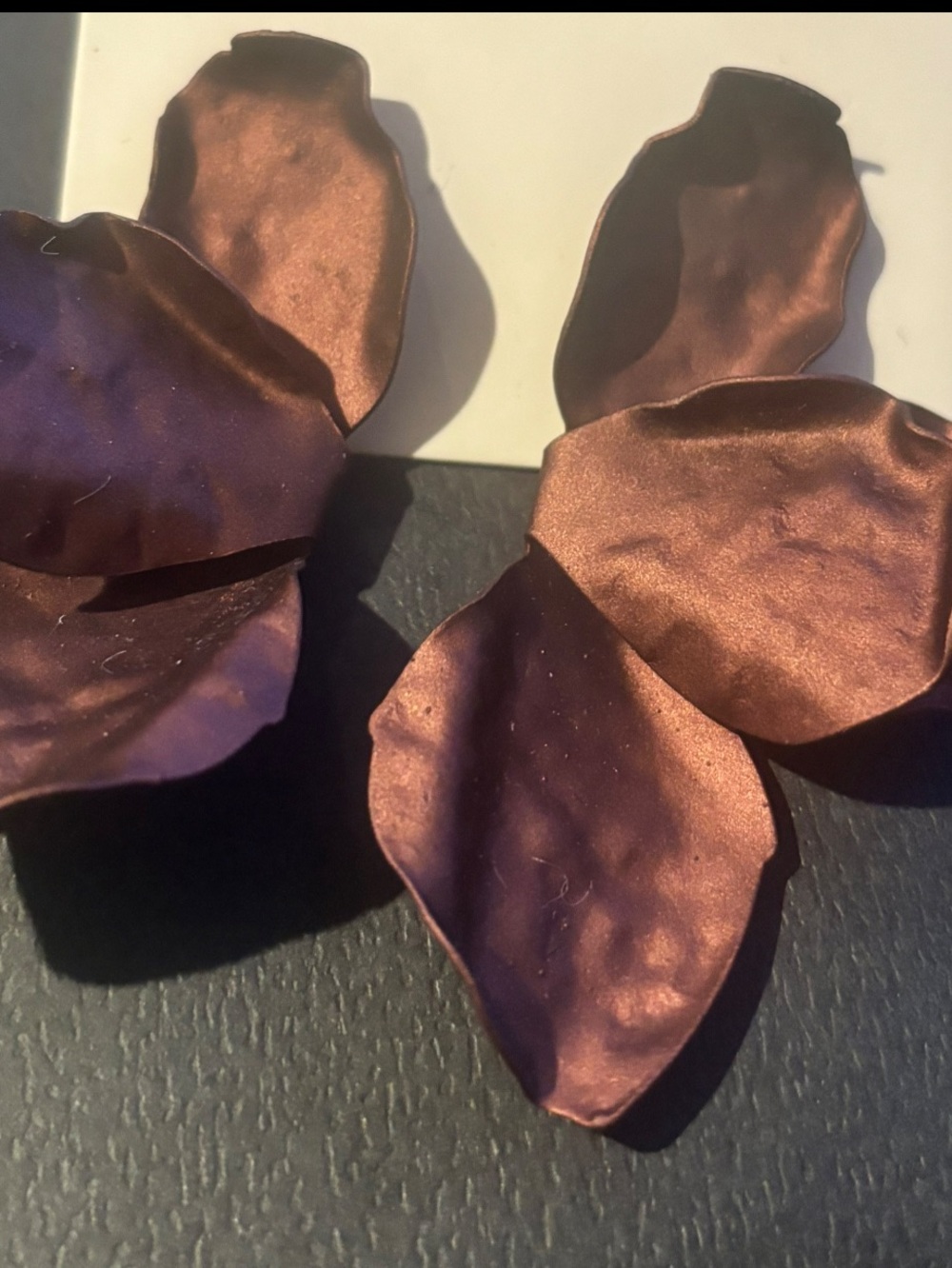 ⭐️⭐️⭐️NWT Brown Earrings
